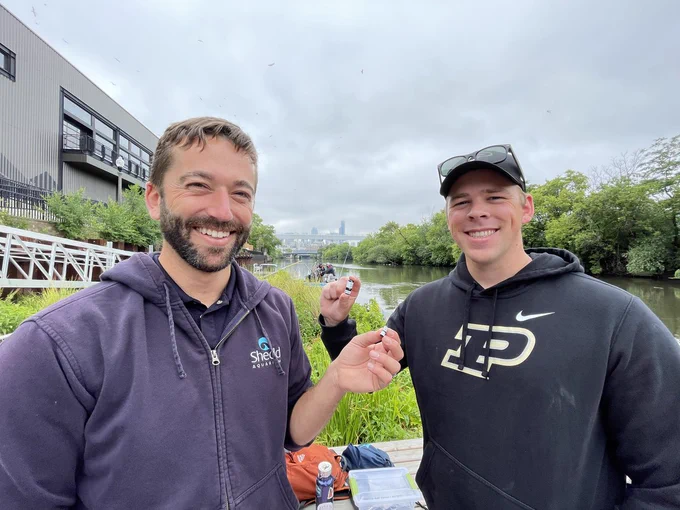 Shedd's Dr. Happel and Purdue Master's Student Luke holding acoustic tags on a dock in the Chicago River.