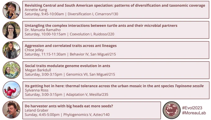 Revisiting Central and South American speciation: patterns of diversification and taxonomic coverage
Annette Kang
Saturday, 9:45-10:00am | Diversification I, Cimarron/130
Untangling the complex interactions between turtle ants and their microbial partners
Dr. Manuela Ramalho
Saturday, 10:00-10:15am | Coevolution I, Ruidoso/220
Aggression and correlated traits across ant lineages
Chloe Jelley
Saturday, 11:15-11:30am | Behavior IV, San Miguel/215
Social traits modulate genome evolution in ants
Megan Barkdull
Saturday, 3:00-3:15pm | Genomics VII, San Miguel/215
Its getting hot in here: thermal tolerance across the urban mosaic in the ant species Tapinoma sessile
Sylvanna Ross
Saturday, 3:00-3:15pm | Adaptation V, Mesilla/235
Do harvester ants with big heads eat more seeds?
Leland Graber
Sunday, 4:45-5:00pm | Phylogenomics V, Aztec/140