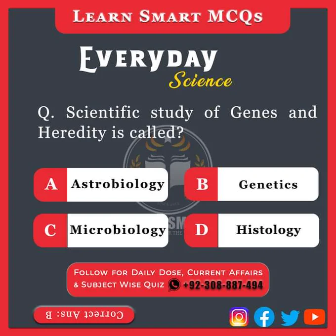 Pak MCQs, MCQs, GK, Daily MCQs, General Knowledge MCQs, General Knowledge, General Knowledge Daily, Learn Smart, Learn Smart MCQs, Daily Dose, World General Knowledge, Current Affairs, Daily Current Affairs, Today Current Affairs, 2023, Daily General Knowledge, Daily Updates, The Current Affairs, World Current Affairs, International Current Affairs, Pakistan Current Affairs, National Current Affairs, Islamic Studies, Islamic Studies MCQs, Islamic Information, Islamic Knowledge, Islamic GK, Islamic History, Science, Everyday Science, General Science, Everyday Science MCQs, Science MCQs, General Science MCQs, GS Quiz, Computer MCQs, Computer Science, Computer Knowledge, GK Point, GK House, GK and Facts, Past Papers, Solved Past Papers MCQs, CSS, FPSC, SPSC, PPSC, PMS, BPSC, KPPSC, KPSC, AJKPSC, GBCCE, Competitive Exams, UPSC, IAS, IPS, One Paper MCQs, GK House, GK India, Shan Ali Junejo, Students Knowledge, All Types of MCQs, SSC India, SSC Exams, UPSC Exams, UPPSC, 