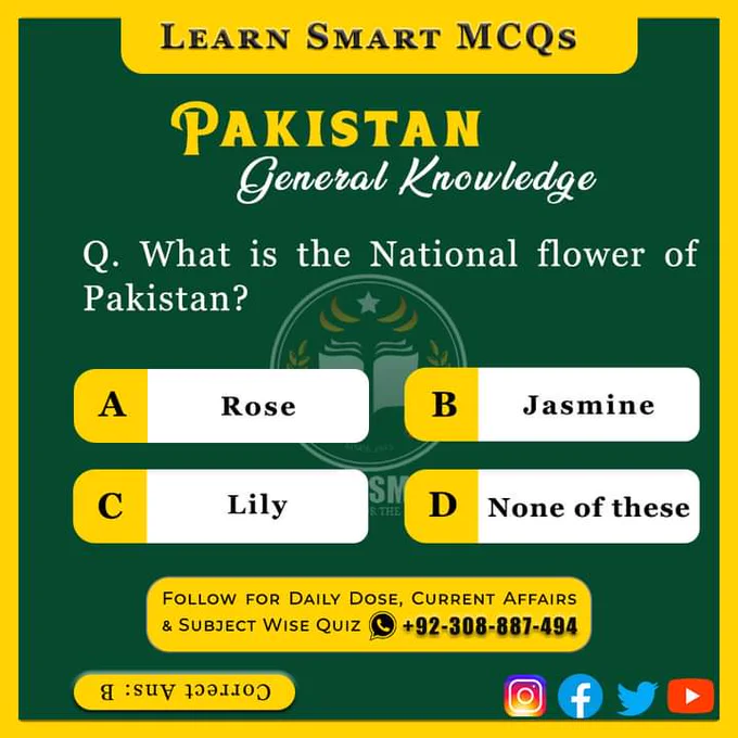 Pak MCQs, MCQs, GK, Daily MCQs, General Knowledge MCQs, General Knowledge, General Knowledge Daily, Learn Smart, Learn Smart MCQs, Daily Dose, World General Knowledge, Current Affairs, Daily Current Affairs, Today Current Affairs, 2023, Daily General Knowledge, Daily Updates, The Current Affairs, World Current Affairs, International Current Affairs, Pakistan Current Affairs, National Current Affairs, Islamic Studies, Islamic Studies MCQs, Islamic Information, Islamic Knowledge, Islamic GK, Islamic History, Science, Everyday Science, General Science, Everyday Science MCQs, Science MCQs, General Science MCQs, GS Quiz, Computer MCQs, Computer Science, Computer Knowledge, GK Point, GK House, GK and Facts, Past Papers, Solved Past Papers MCQs, CSS, FPSC, SPSC, PPSC, PMS, BPSC, KPPSC, KPSC, AJKPSC, GBCCE, Competitive Exams, UPSC, IAS, IPS, One Paper MCQs, GK House, GK India, Shan Ali Junejo, Students Knowledge, All Types of MCQs, SSC India, SSC Exams, UPSC Exams, UPPSC, 