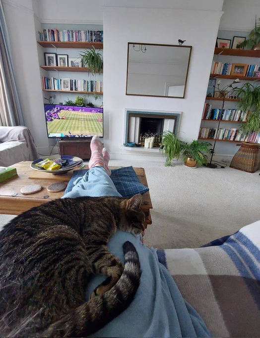Emmy, asleep on my lap, not watching the tennis.
