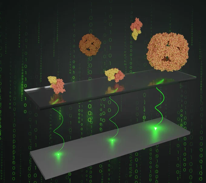 The protein rendering was done by Dan Loewenthal in Blender using the Molecular Nodes plugin:
Brady Johnston, Yinying Yao, wjm41, Johannes Elferich, Olivier Laprevote, Thibault Tubiana, Domenico Marson, Jessica A. Nash, & kimjoyc. (2023). BradyAJohnston/MolecularNodes: BETA: v2.7.1 for Blender 3.5  (v2.7.1_beta). Zenodo. https://doi.org/10.5281/zenodo.7979024; https://github.com/BradyAJohnston/MolecularNodes (accessed 01st June 2023)

The glass coverslip was taken from the Laboratory Glassware Pack 1 created by Dr. Joseph G. Manion, while the image background is freely available at:
https://www.freepik.com/free-vector/matrix-style-binary-code-digital-background-with-falling-numbers_8289995.htm (accessed 1st June 2023)
