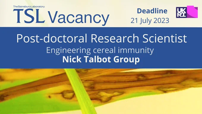A banner for the vacancy with a photo of blast symptoms on a cereal leaf, brown stains with dark outer edges. The text reads: TSL Vacancy, Deadline 21 July 2023, Postdoctoral Research Scientist, Engineering cereal immunity, Nick Talbot Group, UKRI logo