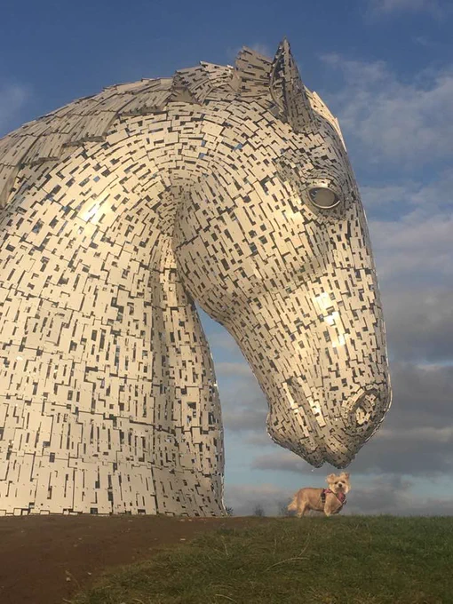 My wee cute as a button dog Mollie at the foot of a giant Kelpie structure.  Looks like the Kelpie is kissing Mollie gently on the head. Green grass and blue skies in the background.