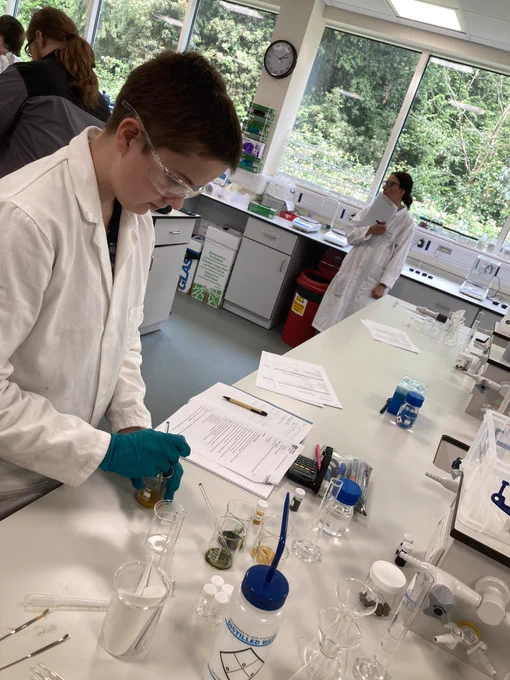 Students conducting lab work