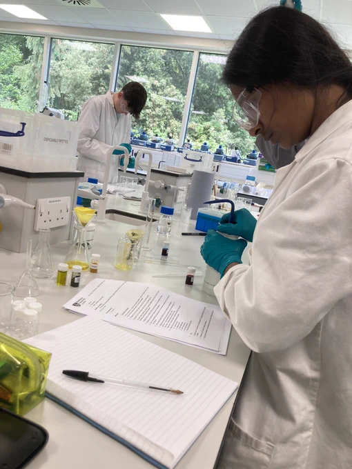 Students conducting lab work