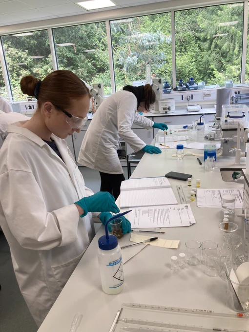 Students conducting lab work