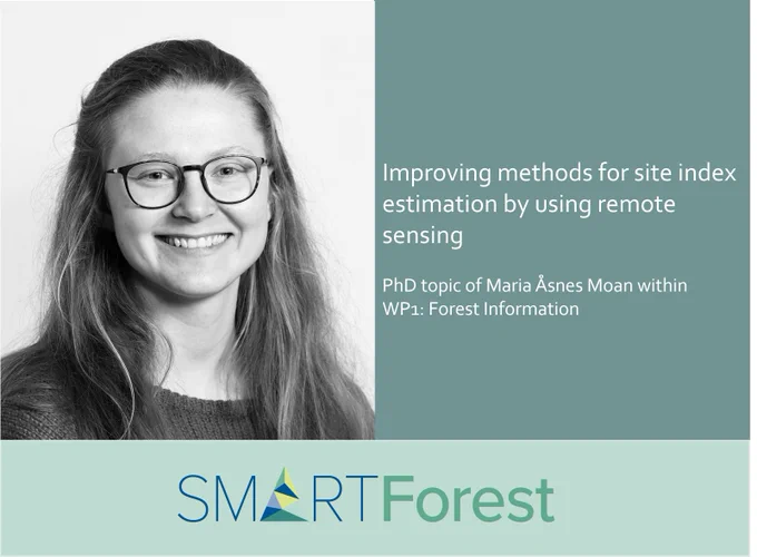Maria works on improving the accuracy and precision of site index estimation with remotely sensed data. So far, she has focused on classifying areas unsuitable for site index determination due to disturbances and how we might determine the site index when we have time series of remote sensing data.