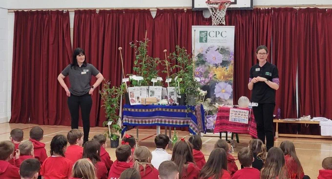 Two people stand at the front of a school hall, either side of a stand with potato plants, labels and a Commonwealth Potato Collection banner. They face a number of school children who are seated in rows on the floor.