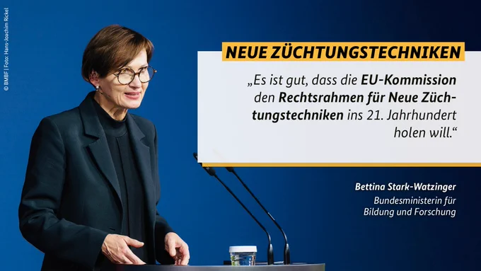 Ein Zitat von Bundesforschungsministerin Bettina Stark-Watzinger zum Thema Neue Züchtungstechniken: "Es ist gut, dass die EU-Kommission den Rechtsrahmen für Neue Züchtungstechniken ins 21. Jahrhundert holen will."