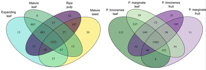 Venn diagrams of specialized compound richness. Left: compound richness by tissue identity with species combined. Right: compound richness by species and organ identity, with expanding and mature leaves combined into “leaf” and pulp and seed combined into “fruit”.
