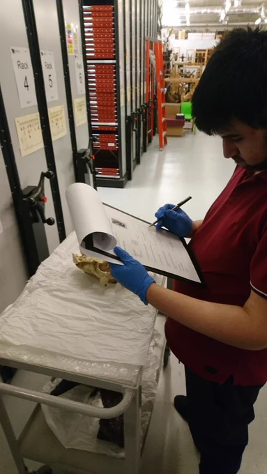A man with black hair and a beard is stood over a trolley. On the trolley is an animal skull. The man is wearing latex gloves, he is holding a clipboard and taking notes.  