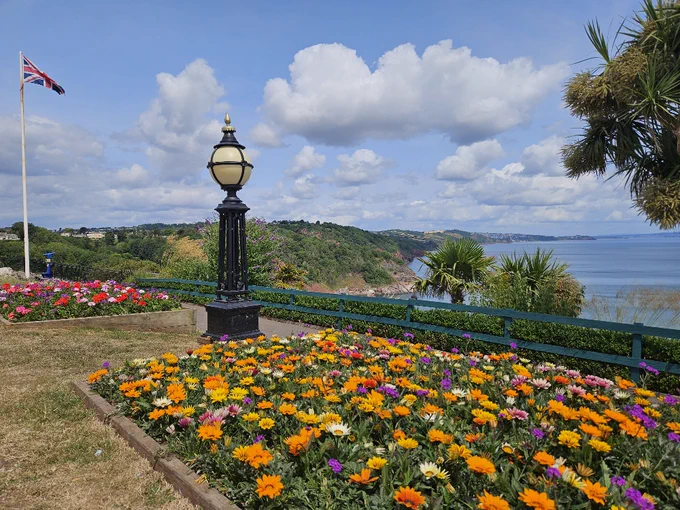 bedding plants in colour