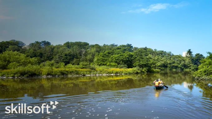 decorative a canoe on a lake in summer