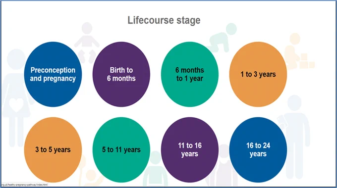 Lifecourse stage. Preconception and pregnancy. Birth to 6 months, 6 months to 1 yera. 1 to 3 years, 3 to 5 years. 5 to 11 years. 11 to 16 years. 16 to 24 years.