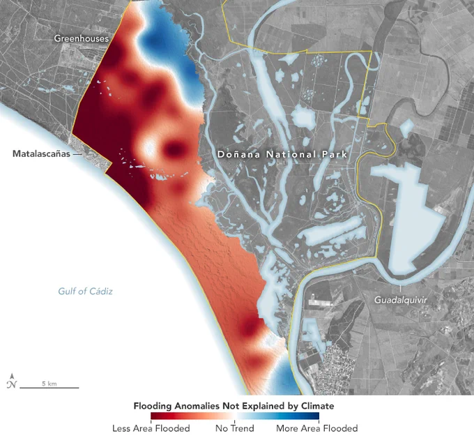 Visualization of flooding not explained by climate in Doñana National Park in Spain. Within the park, there is a thick strip of color along the coastline. Much of it is red, indicating less area flooded. The northwestern part and southeastern coast of the park are blue, indicating more area is flooded. The Gulf of Cádiz is a white area on the left. The land is gray with light blue rivers and bodies of water. The boundary of the park is outlined in yellow.