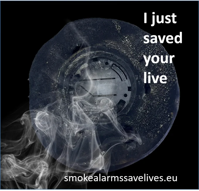 www.eurofsa.org