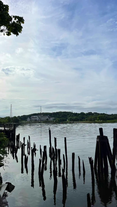 The old pier at India Point Park…