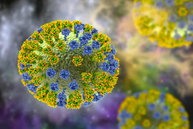 Avian Flu virus 