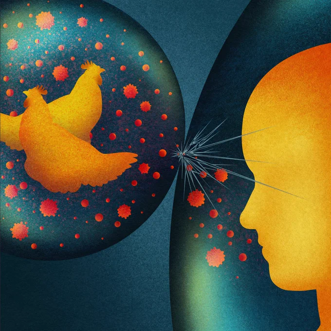 Two spheres which represent immune protection. One sphere contains a human silhouette, the other contains two chicken silhouettes. The chicken sphere shows a high abundance of virus particles. The contact point shows cracks as the virus particle breech the human sphere. This represents the fragility of immune protection as the evasion of BTN3A3 can result in spillover of Avian IAVs to humans.