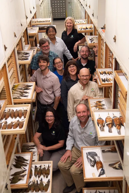 Photo of ten people posing between two long and tall rows of shelves of scientific specimens of birds, some drawers are pulled out for display and the people are smiling and happy