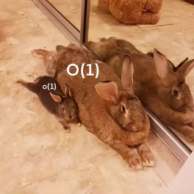 A large rabbit labeled “O(1)” and a much smaller rabbit labeled “o(1)”