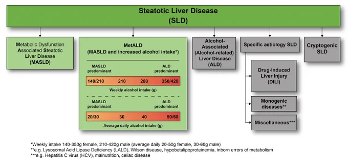 Steatotic Liver Disease sub-classification.