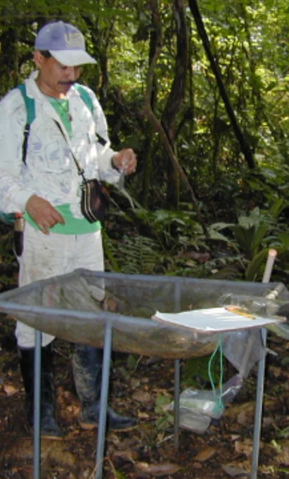 Photograph of seed trap with field technician and parataxonomist Milton Zambrano
