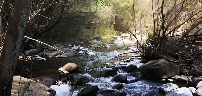 Río en el Parque Natural de Sierra de las Nieves