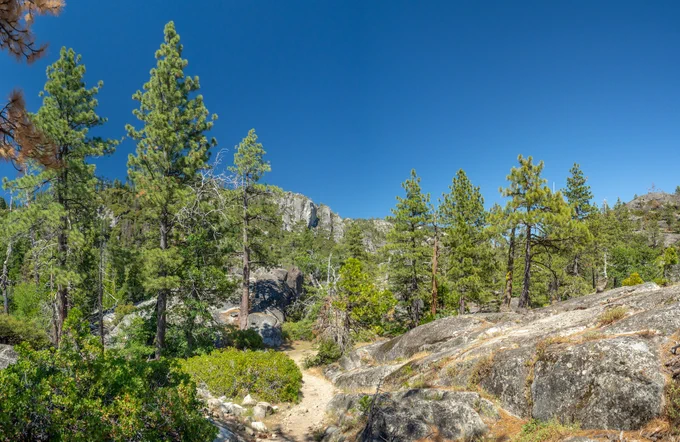 Conifer trees surround a trail featuring exposed rock. The sky above is brilliant blue and clear. A mountainous ridge line is visible in the distance.