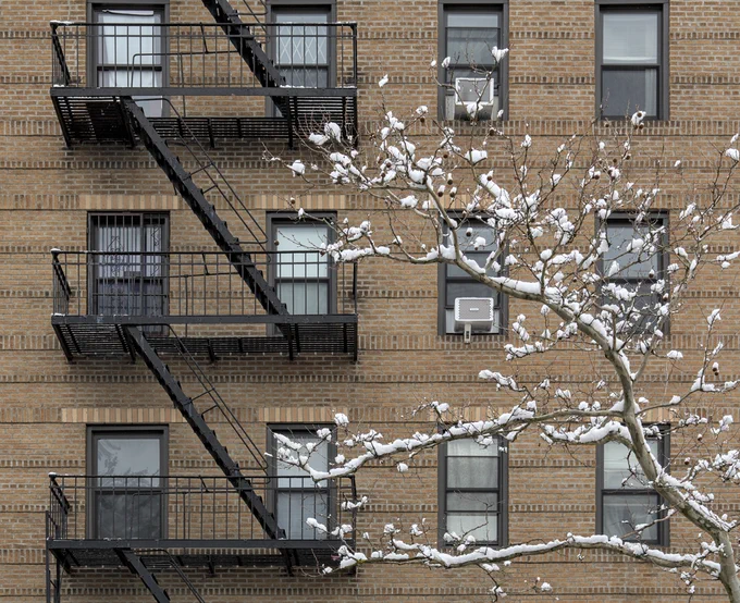 Snow-covered tree branches in front of a brick apartment building with black metal fire escapes and multiple windows.