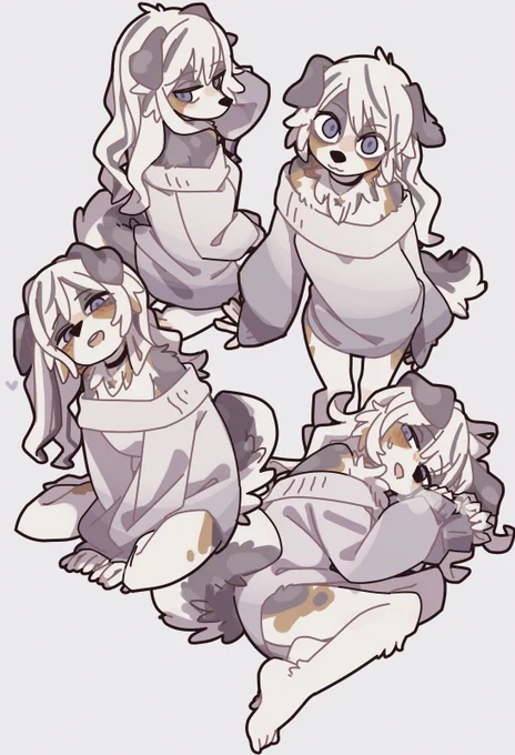 Australian Shepherd🐾