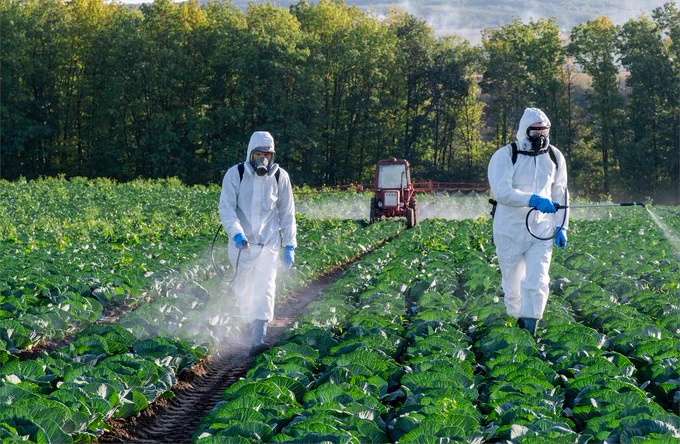 Two individuals in protective gear spraying pesticides across a field of crops. 
Image credit: Shutterstock/NataliAlba.
