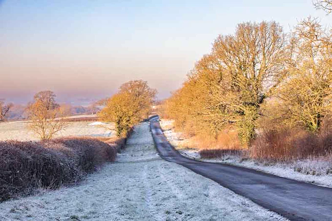 Colour photograph of a narrow road and wide verge, with the road running from bottom-right to the centre of the photograph. Hedges and trees line the route. The ground is covered in frost and the sky is clear. Low sunlight from the left  illuminates some of the trees and a distant field.