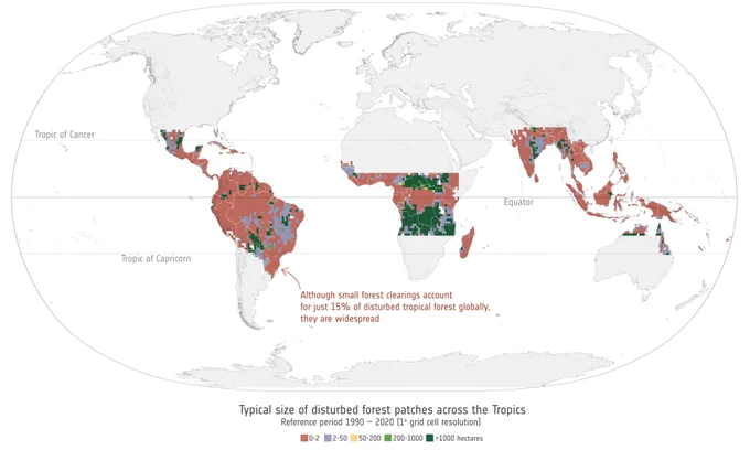 Disturbed tropical forest patch sizes.