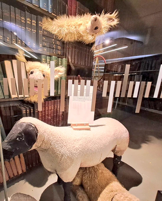 Sheep model and llama puppets in library 