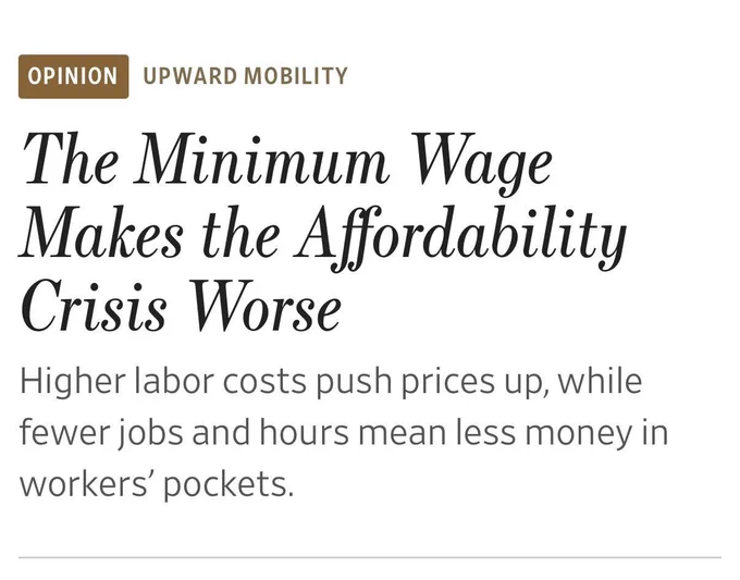 Headline: the minimum wage makes the affordability crisis worse 