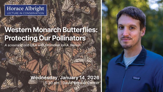 A graphic that features a photo of western monarch butterflies and a headshot of a man.

Text overlaying the graphic reads: "Western Monarch Butterflies: Protecting Our Pollinators. A screening and Q&A with filmmaker Ian A. Nelson. Wednesday, January 14, 2026. 5:30 pm | David Brower Center"