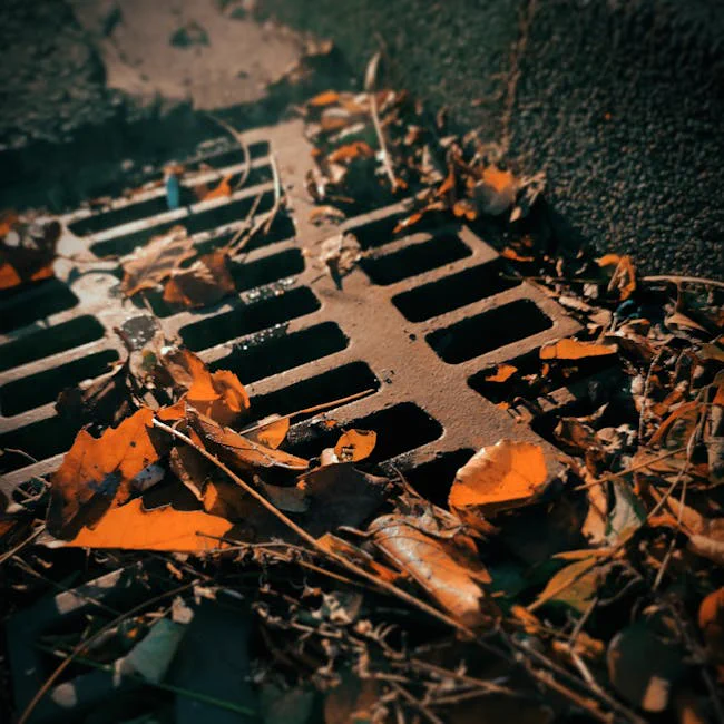 Close-up of dry autumn leaves on a rusty road drain in Essen, Germany.