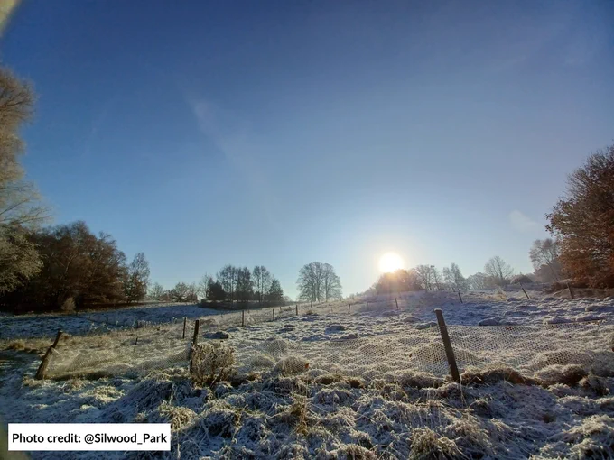 The sun sets behind some trees in the background. Snow covers the ground in the foreground. Photo credit: @Silwood_Park.