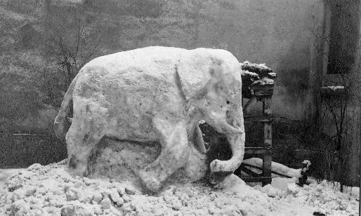 Black and white photograph taken in deep snow, showing a large snow elephant in a garden. The elephant has a rounded body, trunk and ears carefully shaped from packed snow, with people standing beside it to show the scale. Snow lies thick on the ground and on the surrounding bushes and fences.
