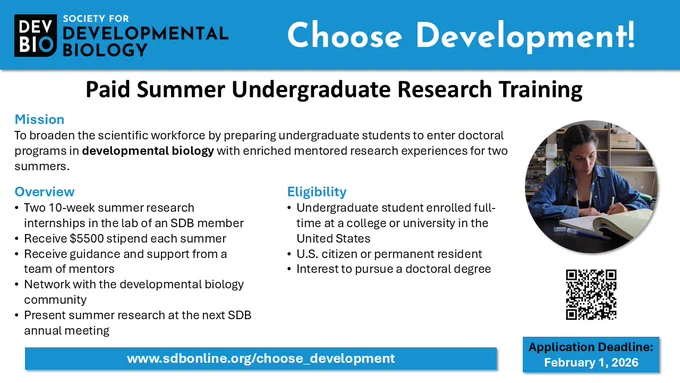 Society for Developmental Biology Logo - Choose Development
Paid Summer Undergraduate Research Training
Mission
To broaden the scientific workforce by preparing undergraduate students to enter doctoral programs in developmental biology with enriched mentored research experiences for two summers.
Overview
Two 10-week summer research internships in the lab of an SDB member
Receive $5500 stipend each summer
Receive guidance and support from a team of mentors
Network with the developmental biology community
Present summer research at the next SDB annual meeting
Eligibility
Undergraduate student enrolled full-time at a college or university in the United States
U.S. citizen or permanent resident
Interest to pursue a doctoral degree
Photo of woman writing in lab notebook
QR Code to Choose Development website
Application Deadline: February 1, 2026
www.sdbonline.org/choose_development
