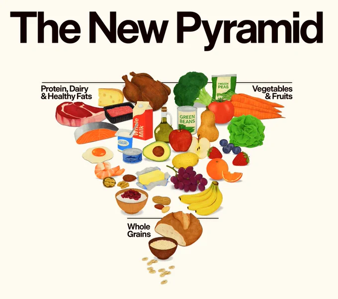 New Dietary Pyramid
Water Hydration USDA
