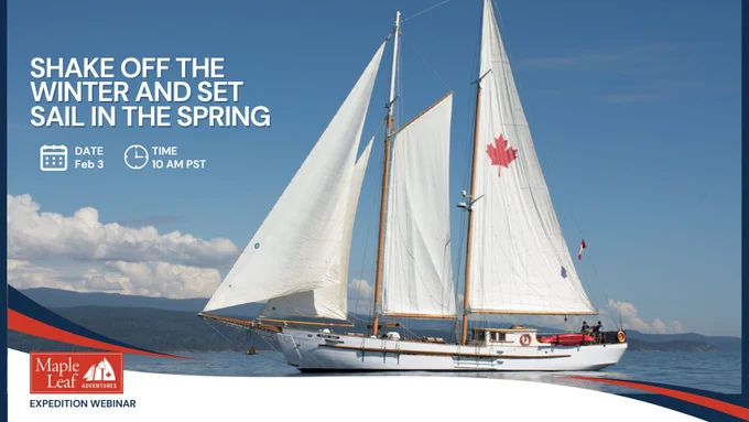 While the mountaintops remain draped in snow, the coastal valleys are vibrant, fresh and green. Join us to find your perfect spring escape.
It is the season of renewal where wildflowers carpet the shorelines, birdsong fills the air, and bears emerge to forage on lush spring sedges.

Join us for an exciting webinar to discover the magic of the West Coast during spring. With 40 years of experience leading award-winning sailing tours, we’ve perfected the art of big adventures on small ships.

In this session, we will dive into our featured 2026 Spring expeditions, highlighting unique ways to experience the coast. You’ll learn about:
- the wildlife behavior unique to spring, from migratory birds to bears on the shoreline.
- our ships: the classic schooner Maple Leaf, the comfortable boutique tugboat Swell and the boutique expedition yacht Cascadia.
- coastal knowledge and rich immersive and educational journey on the expeditions
- rich photography and sightseeing
