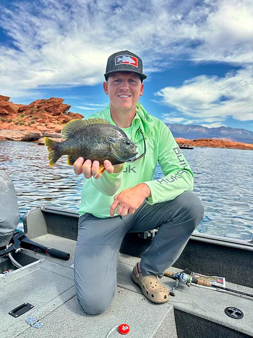 A person on a boat holding up a large hybrid sunfish.