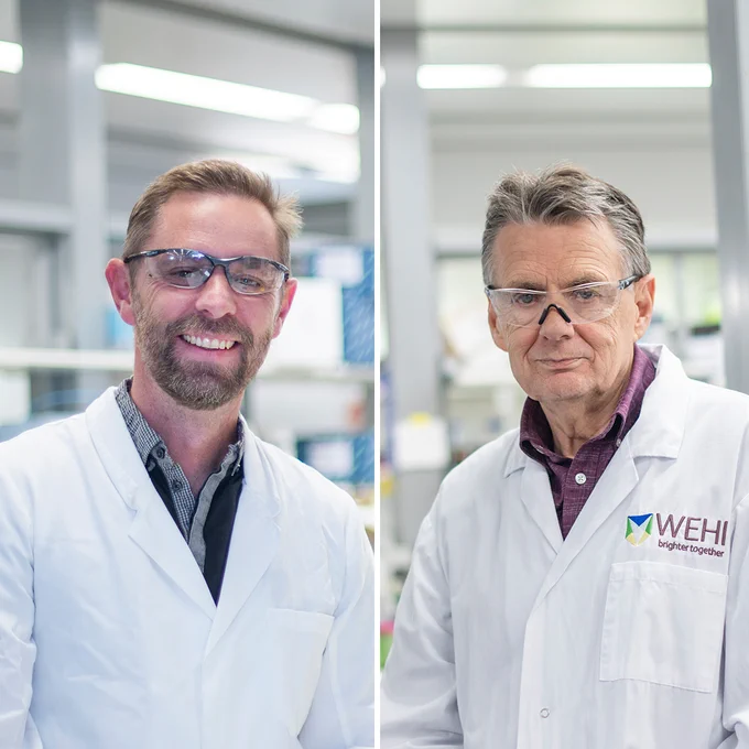  L-R: Professor Grant Dewson and Professor Alan Cowman AC 