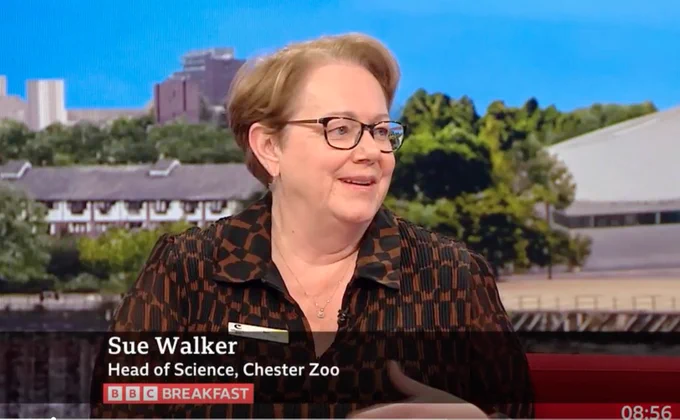 Photo shows a still from a BBC breakfast broadcast. Sue Walker, a woman with short blond hair and glasses is sitting on a red couch and talking with journalists