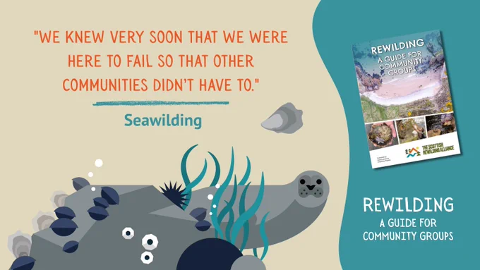 A quote from Seawilding reads: "We knew very soon that we were here to fail so that other communities didn’t have to." The quote is accompanied by illustrations of a seal and an oyster. The front cover of "Rewilding: A Guide for Community Groups" is shown.