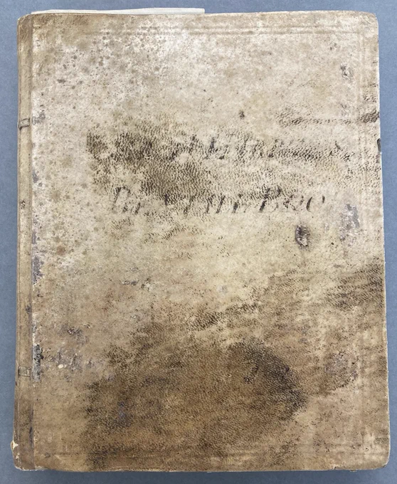 A plain volume, bound with a parchment cover. There is some black lettering on the cover, but it is no longer legible.