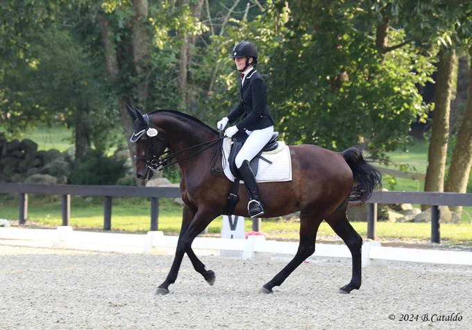 woman smiling while riding a brown horse in an arena